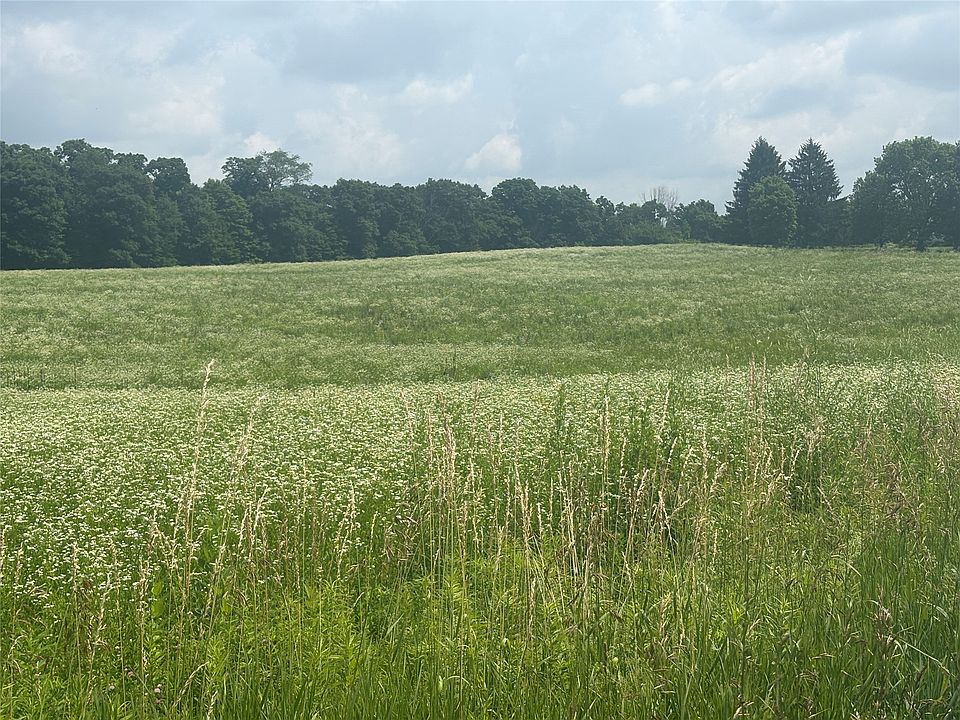 2nd image of 126 Delmauro Rd