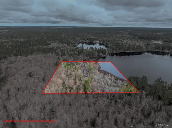 Big Twin Lake Rd, Wetmore, MI 49895