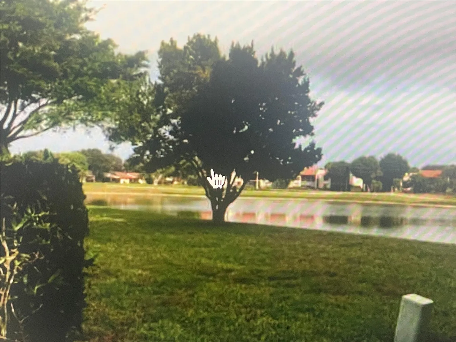 2 bed, 2.0 bath, 1163 sqft, $3,000 — Photo 2