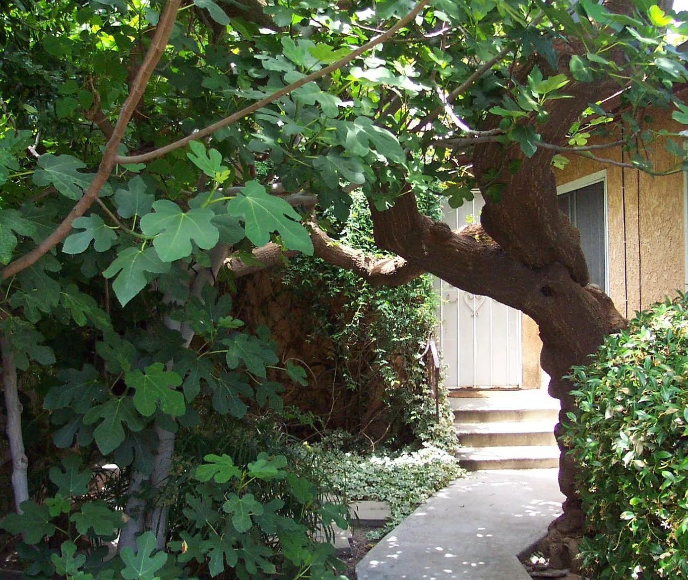 2 bed, $3,200 — Photo 3