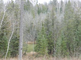 12990B Hubbard Lake Rd, Hubbard Lake, MI 49747