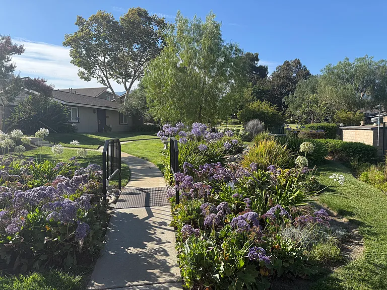 Tranquil pathways.