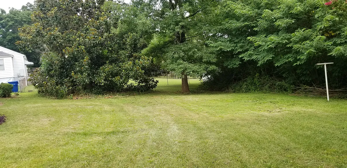 Backyard - 705 Veterans Dr