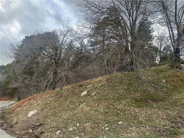 0 Torrey Rd LOT 17, Cedar Glen, CA 92321