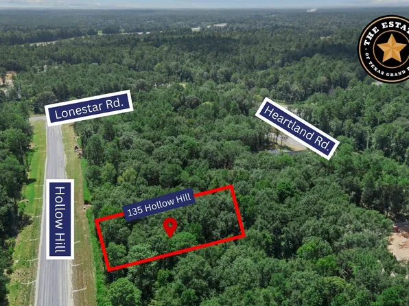 135 Hollow Hill Dr, New Waverly, TX 77358