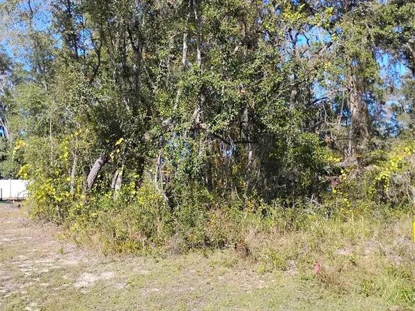 SE 61st Pl Lot 11, Ocklawaha, FL 32179
