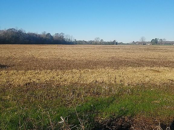 3rd image of 12165 Chumuckla Hwy