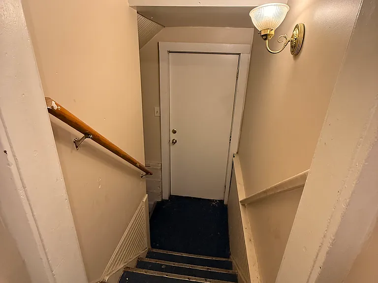 Side Door and Stairs to Basement