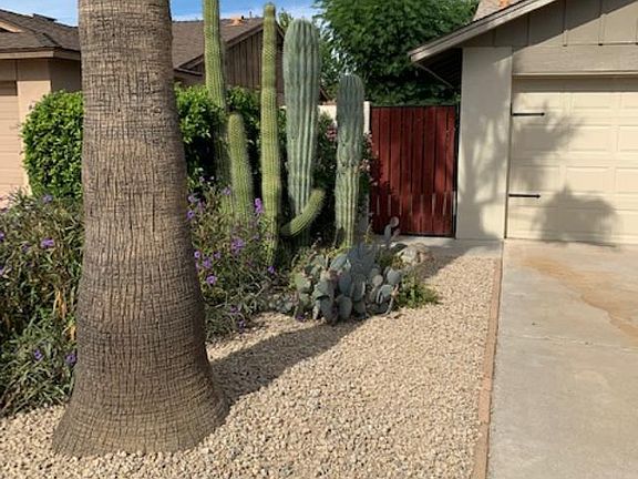 4th image of 2710 E Cactus Rd