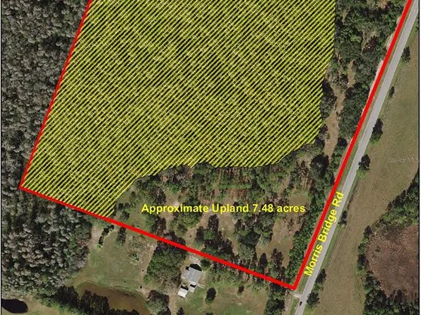 1749 Morris Bridge Rd, Wesley Chapel, FL 33543