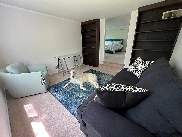 19 Carson Rd #LAWRENCE TOWNSHIP — Photo 46