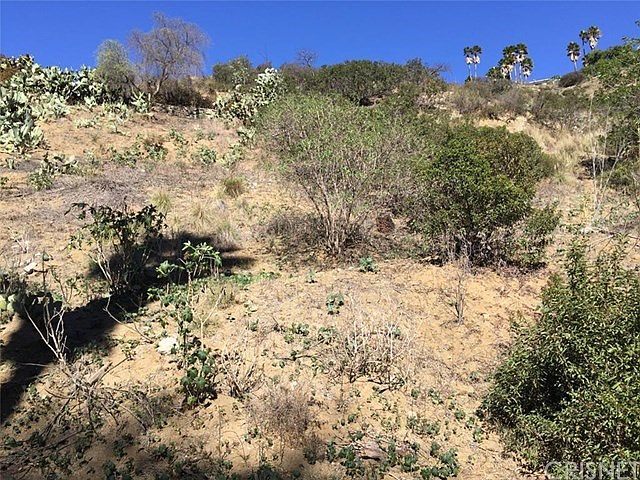 2nd image of 2425 Nichols Canyon Rd