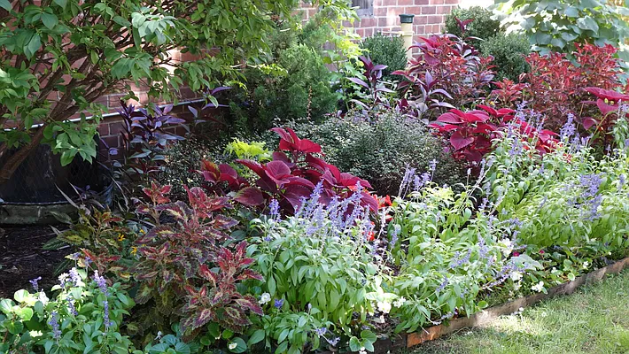 Sold by Owner | media 21