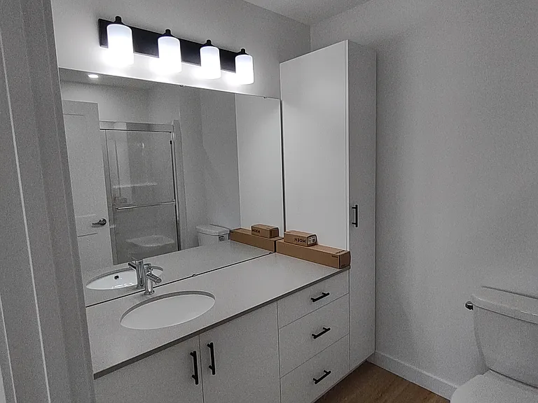 Master bathroom sink and storage cabinets