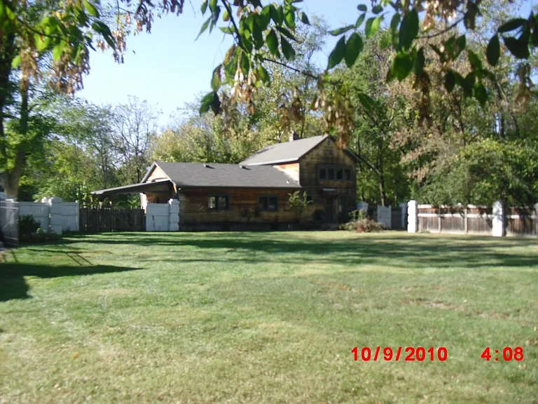 Back yard
