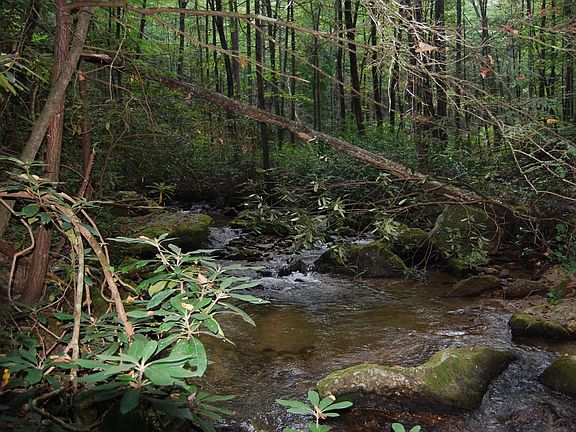 Laytown Creek runs through the property