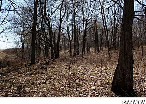 2nd image of 0 East Bluff Road