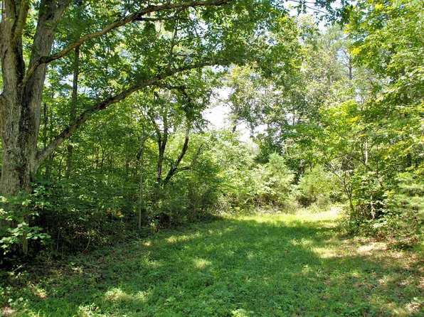 3741 Knob Creek Trl, Elliston, VA 24087