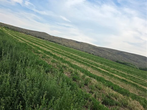 2 Borland, Ellensburg, WA 98926