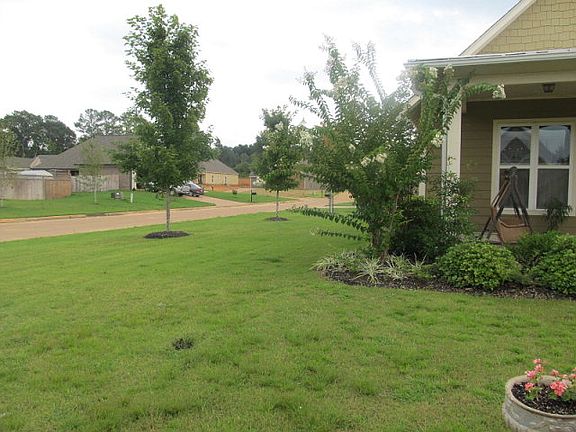 3rd image of 1301 Ashleys Dr