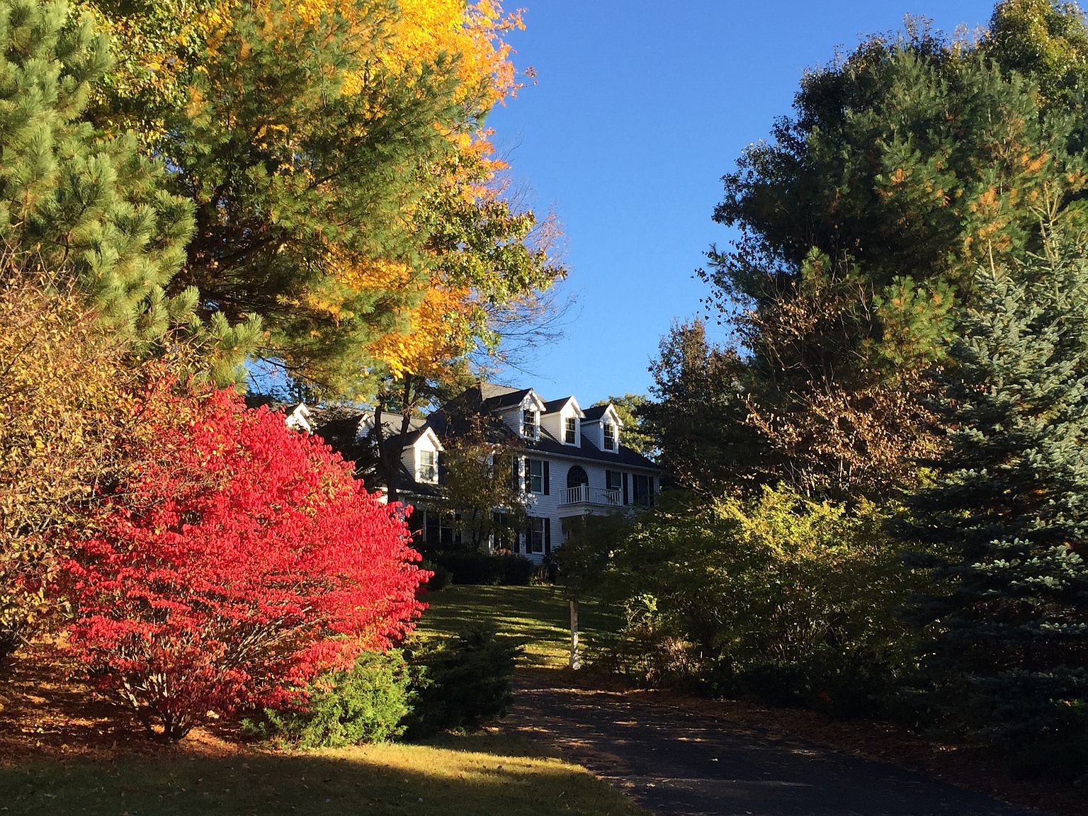 28 Camperdown Ln, Sudbury, MA 01776 Zillow