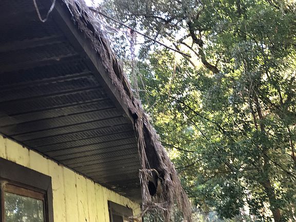 5th image of 3487 N Olive Ave