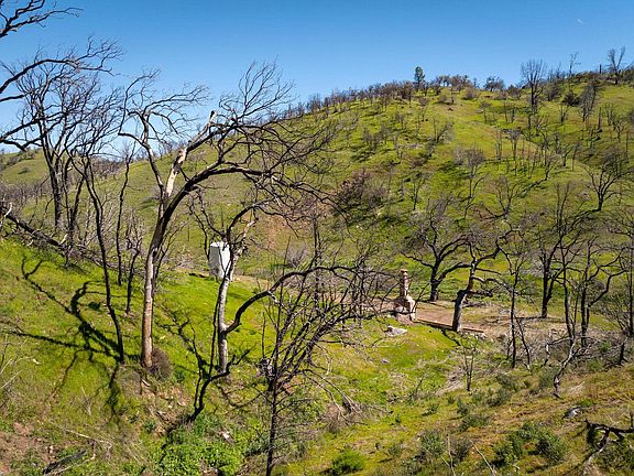 5th image of 15676 W Corral Hollow Rd