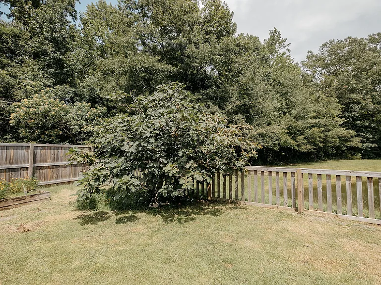 262 Island Green Rd — Photo 27