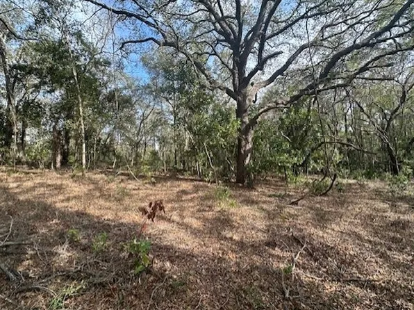 0 NW County Road 236, Bell, FL 32619