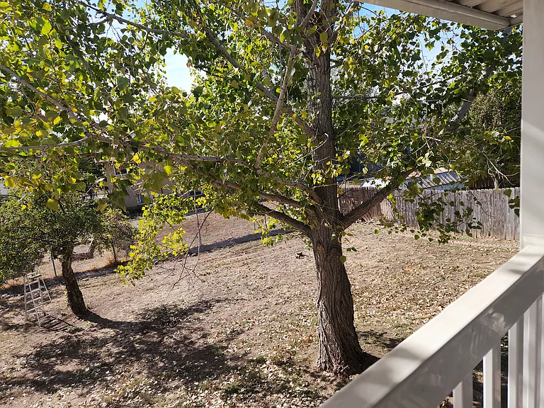 1741 Davis Dr #A — Photo 22