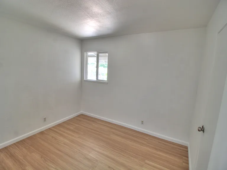 74 Avenida Espana — Photo 13