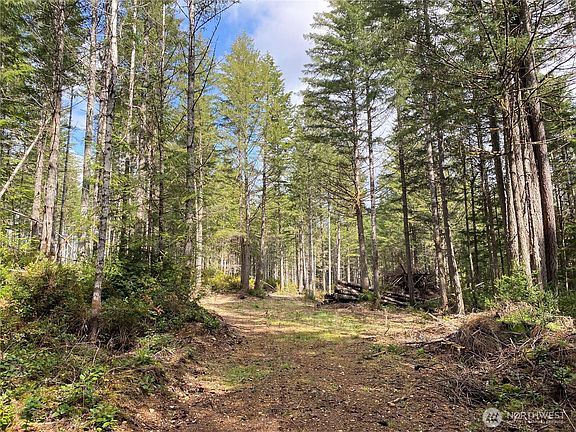 2nd image of 0 TR4 E Mason Lake Road