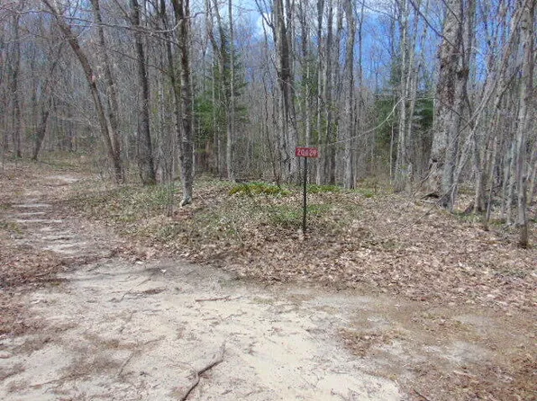 20429 N Fordney Tower Rd, Newberry, MI 49868