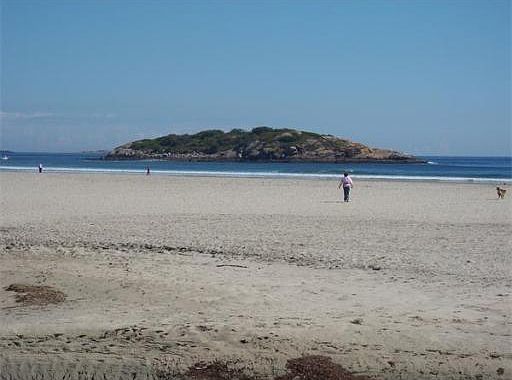 2nd image of 14 Atlantic Rd #5