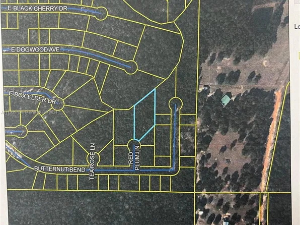 0 Red Plum Ln, Defuniak Springs, FL 32433