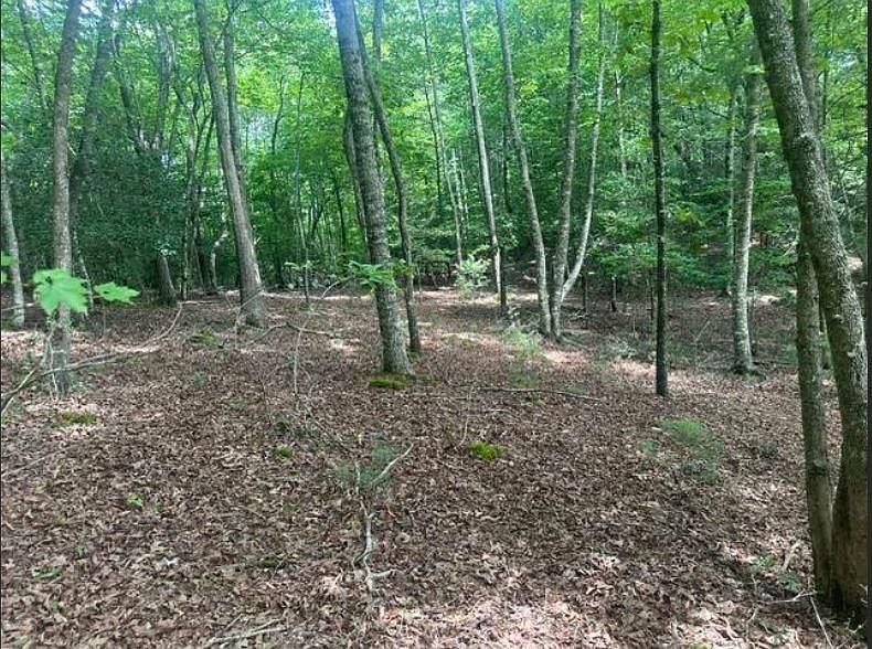 1st image of 2 Thunder Rd