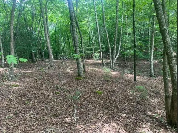 2 Thunder Rd, Hayesville, NC 28904