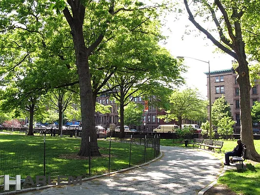 Rented by Harlem Lofts | media 16