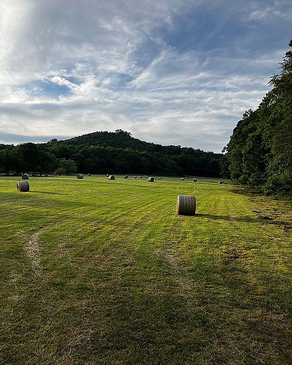 1st image of Collins Rd