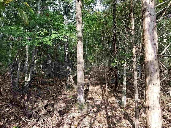 4th image of 175 Key Cove Rd Lot 50