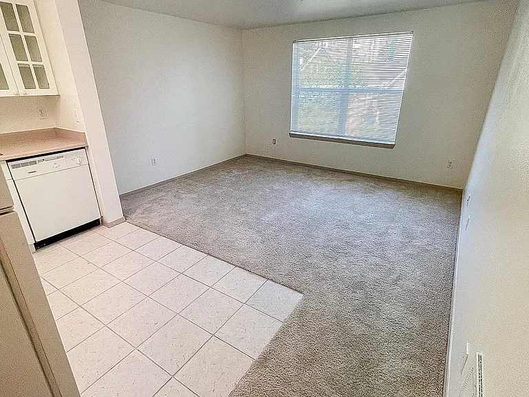 Clearwater and Star Apartments — Photo 40