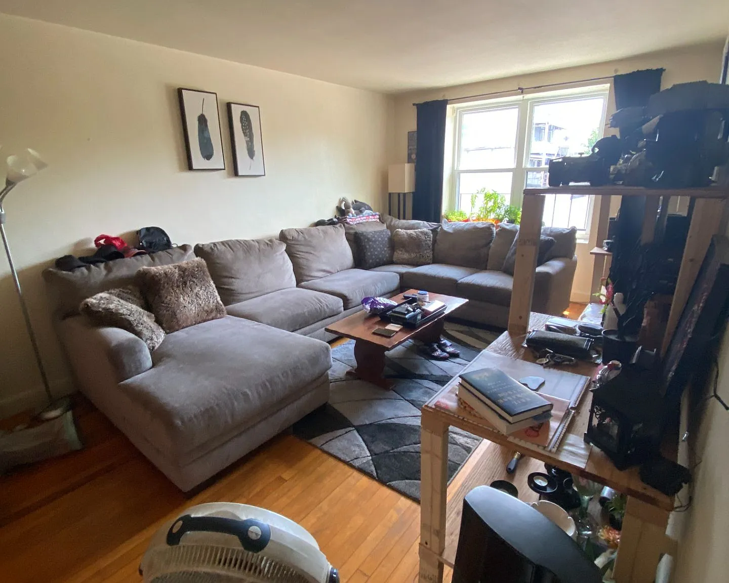 1 bed, 600 sqft, $1,850 — Photo 1