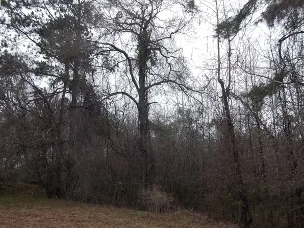 1235 Five Chop Rd, Orangeburg, SC 29115