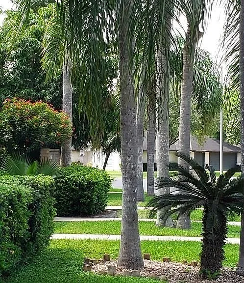 5401 Palm Valley Dr N — Photo 3