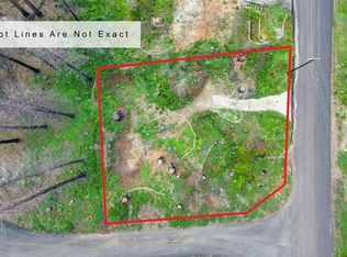 5136 Evergreen Dr, Grizzly Flats, CA 95636