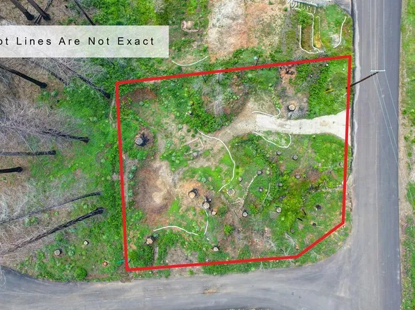 5136 Evergreen Dr, Grizzly Flats, CA 95636