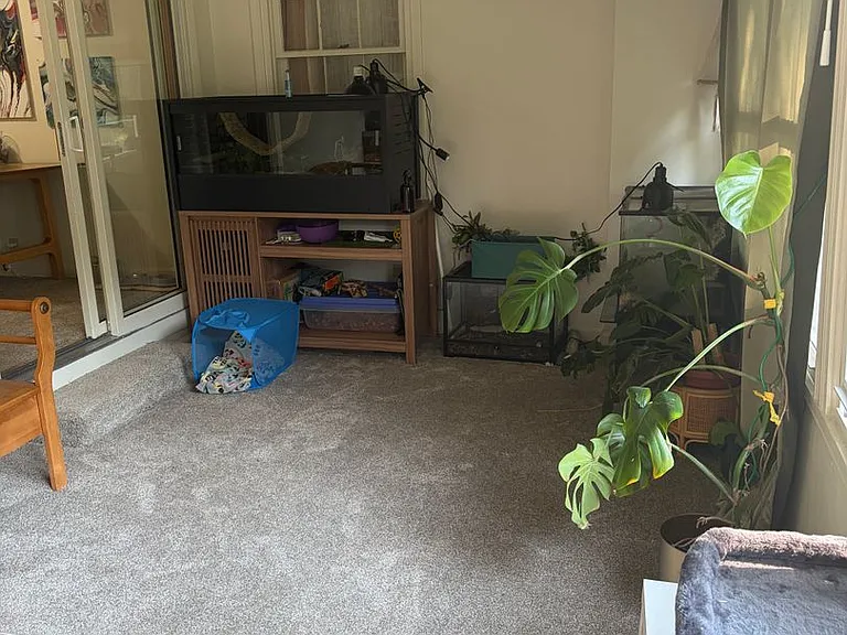 2410 Jefferson St — Photo 14
