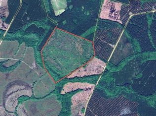 2800 Youngs Island Rd NW, Townsend, GA 31331