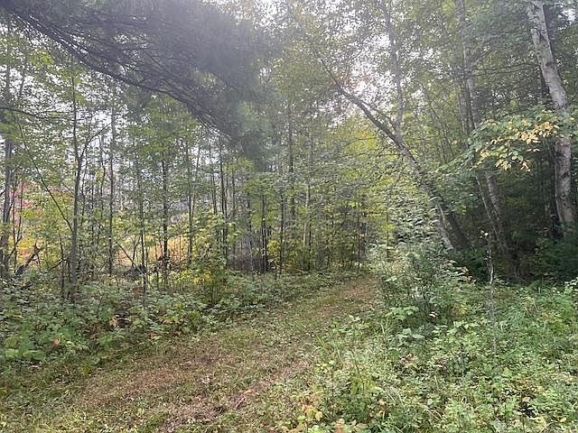 2nd image of Pickerel Creek Rd