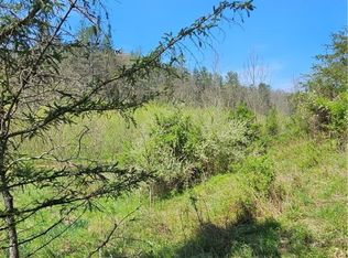 6.20 Sur Lefthand Amma Rd, Gandeeville, WV 25243